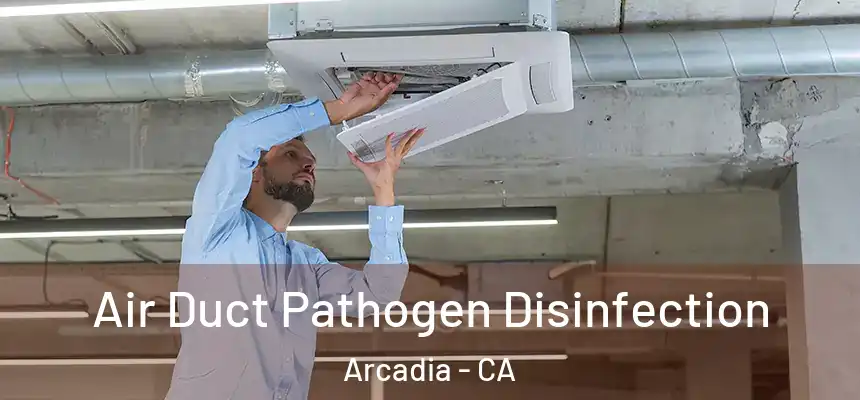  Air Duct Pathogen Disinfection Arcadia - CA