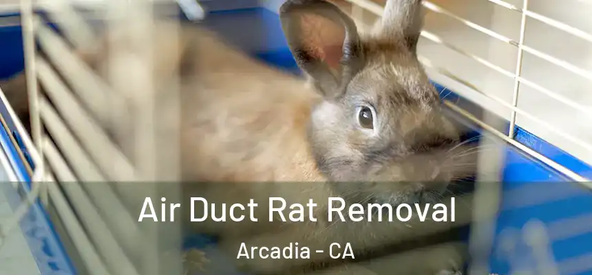  Air Duct Rat Removal Arcadia - CA