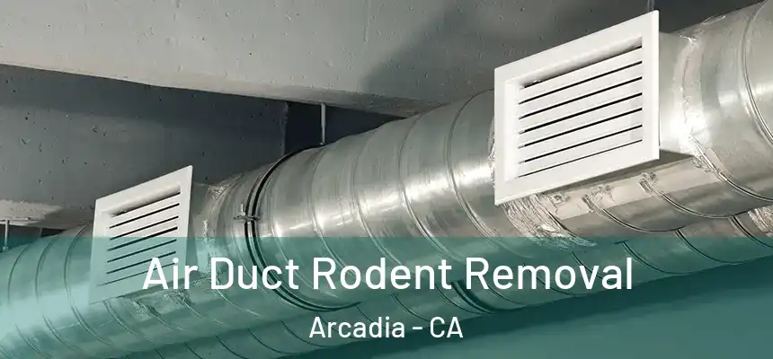  Air Duct Rodent Removal Arcadia - CA