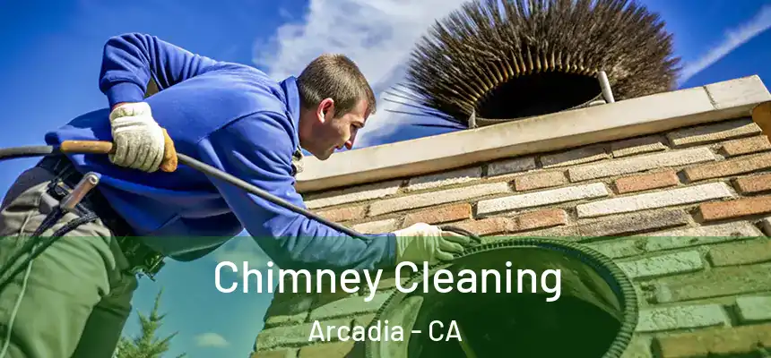  Chimney Cleaning Arcadia - CA