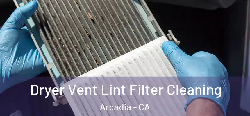Dryer Vent Lint Filter Cleaning Arcadia - CA