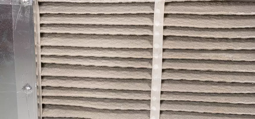 Mobile Car AC Filter Replacement in Arcadia