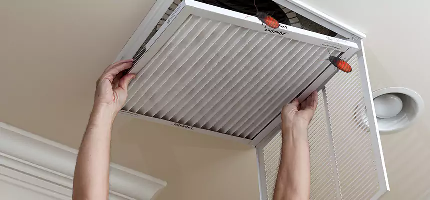 Preventive Cockroach-Proofing for Ducts in Arcadia