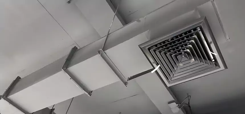 Our Rodent Droppings In Vents Services in Arcadia, CA