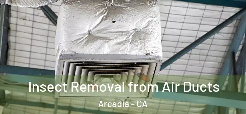  Insect Removal from Air Ducts Arcadia - CA
