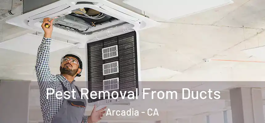  Pest Removal From Ducts Arcadia - CA