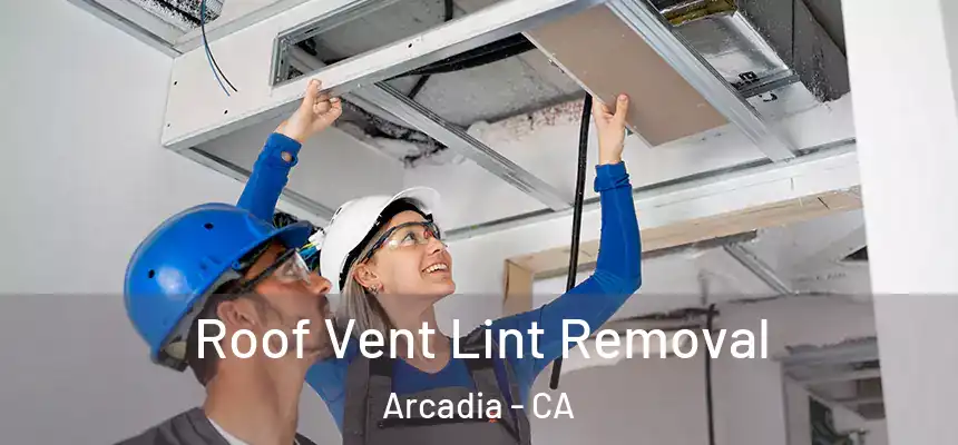  Roof Vent Lint Removal Arcadia - CA