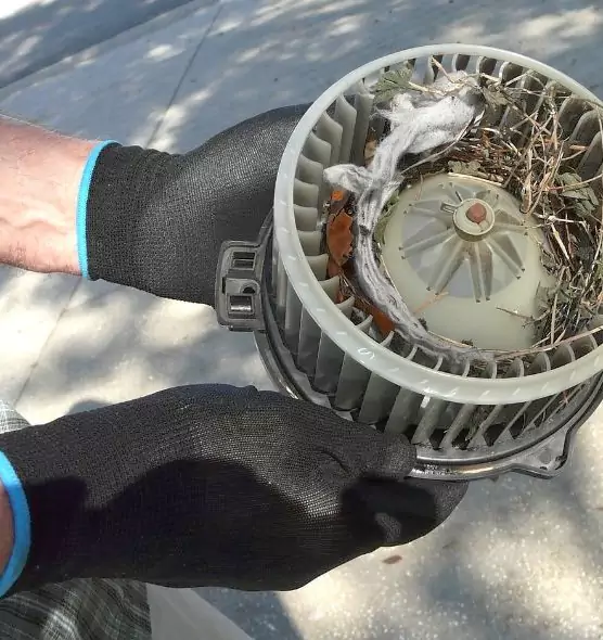 About Air Duct Mice Removal in Arcadia, CA