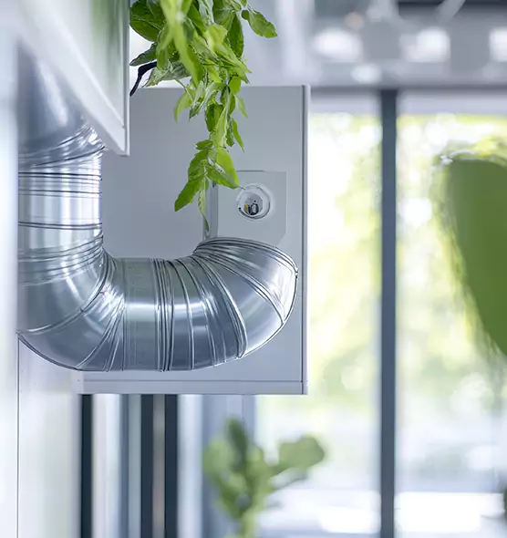 Professional Eco-Friendly Duct Cleaning Services in Arcadia, CA