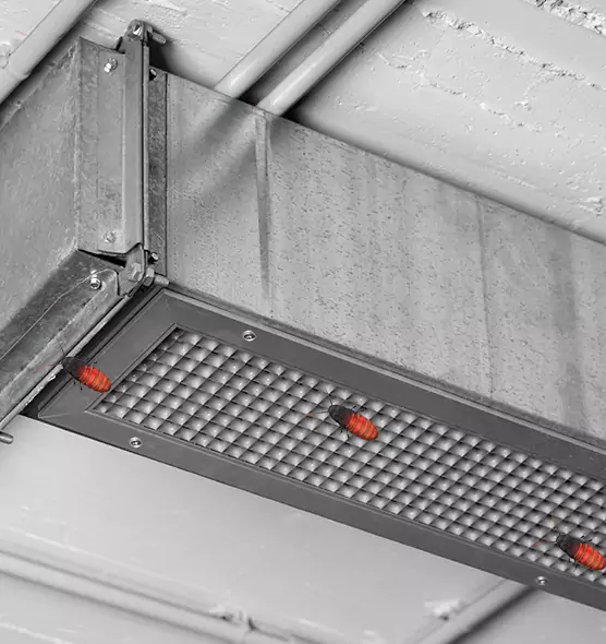 Affordable Insect Removal from Air Ducts in Arcadia, CA