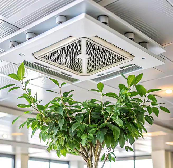 Why Homeowners & Businesses Trust Us in Arcadia, CA?